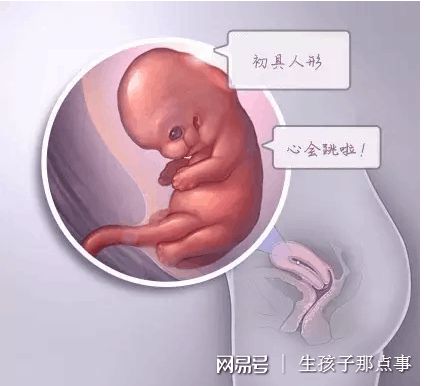 丹韵生殖医学中心